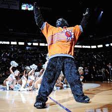 They are members of the pacific division of the western conference in the national basketball association (nba). Phoenix Suns Need A New Gorilla Could That Be You Bright Side Of The Sun