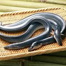 Jun 30, 2021 · 雲林縣鰻魚養殖面積與產量均為全台第1，但去年起受疫情影響外銷受阻，業者生計大受影響，雲林縣口湖鄉金湖休閒農業發展協會因此推出蒲燒鰻. æ—¬ã®é£Ÿæã¯ã‚³ãƒ¬ ã†ãªãŽ