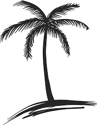 Black And White Beach Palm Tree Clip Art Palm Trees Drawings Coconut Tree Drawing Palm Tree Drawing Tree Drawing