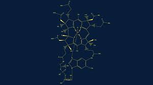 Die Wahrheit Uber Vitamin B12 Und Vegane Ernahrung Quarks De