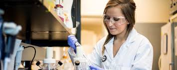 Common fields of study include biomedical engineering, electrical engineering (with biomedical training), mechanical engineering. Bachelor Of Science In Biomedical Engineering Schulich School Of Engineering University Of Calgary