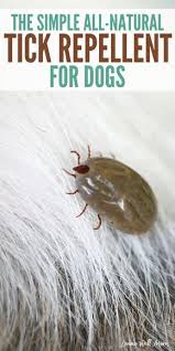 The Simple All Natural Tick Repellent For Dogs With Video Tick Repellent For Dogs Natural Tick Repellent Tick Repellent