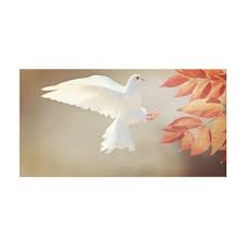 flying white dove canvas zazzle com in 2021 dove symbolism dove bird white doves