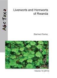Image result for Beilschmiedia rwandensis