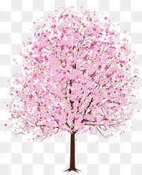 Cut flowers floral design floristry flower bouquet, birds png. Cherry Blossom Tree Png Cherry Blossom Tree Branch Japanese Cherry Blossom Tree Cherry Blossom Tree Art Cherry Blossom Tree Graphic Cherry Blossom Tree Border Cherry Blossom Tree Wallpaper Cherry Blossom Tree