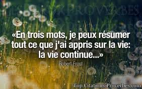 Vous vous doutez bien, chers lecteurs et lectrices, que je viens de vivre une semaine particulièrement difficile. La Vie Continue Archives Top Citations Proverbes