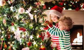 Check spelling or type a new query. Where To Buy A Real Christmas Tree Gold Coast To Byron Bay Families Magazine