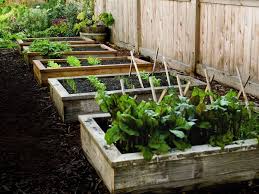 Bahcemize Kucuk Sera Modelleri Nalan In Dunyasi Nlndnys Evdekal Stayhome Diy Recycling Upcycling G Raised Garden Building A Raised Garden Garden Beds