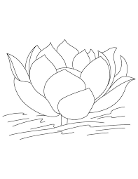 Pin On Flower Coloring Pages
