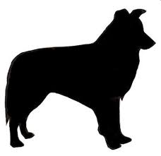 Most Current Photos Border Collies Silueta Popular Dog Silhouette Dog Template Border Collie Silhouette