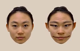 What do you think this image is supposed to be?