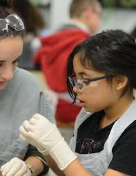 Medaille Magazine Winter 2023 by Medaille University