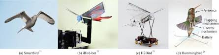 Trainable home robot on kickstarter! Review On Bio Inspired Flight Systems And Bionic Aerodynamics Sciencedirect