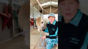 Mini horses are a result of hundreds of years of selectively breeding small horses and ponies. How To Measure Your Horse For A Blanket Youtube