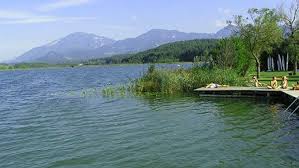 Im süden österreichs liegt kärnten. Bungalows Sonnenhang Am Turnersee Klopeinersee In Karnten Osterreich Bungalow Ferienhaus Ferienwohnung Fewo