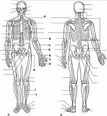 Anatomy And Physiology Coloring Pages Free Download The Perfect Amazing Anatomy And Physio Anatomy Coloring Book Anatomy And Physiology Human Body Worksheets