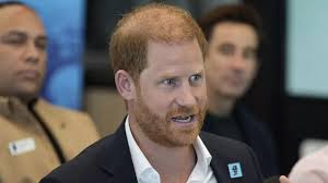 I met Prince Harry when he was in the UK