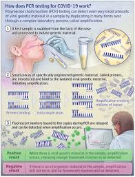 The fear of missing a true positive is so great that those designing the specific testing. Coronavirus Testing The Emergency Medical Minute
