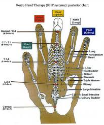 korean hand reflex therapy is based on the 12 major