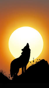 Shop for wolf silhouette wall art from the world's greatest living artists. Wolf Kyyat M à¸¢à¸ à¹€gÑ' Silhouette Art Silhouette Painting Wolf Silhouette