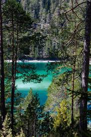 Blog Www Photopraline Com Blindsee Tirol Tirol Osterreich Wald