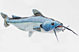 Pin On Fish Fry Party Fun