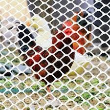 If you love rabbits, then you know how fun it can be to decorate your home with rabbit decorative accessories. Ecover Poultry Fence Plastic Rabbit Fencing For Chicken Racoons Gophor Snakes 5 X 25ft White Buy Online In Brunei At Brunei Desertcart Com Productid 92502872