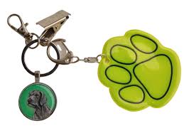 Image result for slovenský ohař hrubosrstý