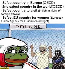 Pierogi , war, history, reparations, wojtyła, holcaust, pis and europe. Poland Safest Country In Europe 2nd Safest Country In The World Safest Country To Visit Safest Eu Country For Women Frog Pepe Meme Immigrants Starecat Com