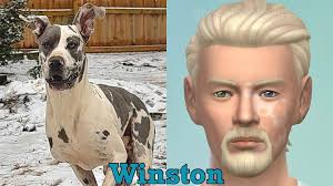 sims 4 building asmr 🌳 it's