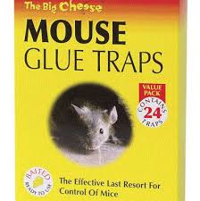 Maybe you would like to learn more about one of these? How To Make Sticky Glue For Mouse Trap Glue Traps Sticky Glue Mouse Glue Trap
