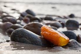 L'ambra grigia è costituita principalmente dall'ambreina e il suo odore esercita una forte attrazione che è dovuta alla forte presenza di feromoni come di altre sostanze aromatiche di origine animale, come il castoreum. L Evoluzione Dell Ambra Vol I L Ambra In Tutte Le Sue Forme Materie Prime