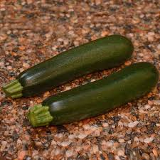 They are outproducing the zucchini. Squash Respect F1 Farmore Green Zucchini Squash Powdery Mildew