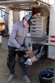 Paid infofree subscriptions receive full profiles and unlimited searches. Farrier In Ventura California Ventura County