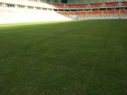 For inspiration, and according to the title of the post i will talk about about yeni malatyaspor stadium. Helenex Yeni Malatyaspor Club Details Tff