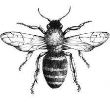 Black And Gray Bee Tattoo Design Bee Drawing Bee Tattoo Design Bee Tattoo
