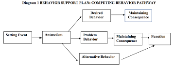 The Competing Behavior Pathway Model Developing Function