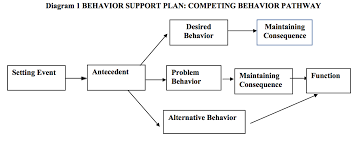 the competing behavior pathway model developing function