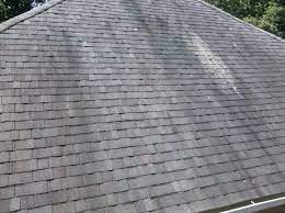 How to clean asphalt shingle roof. Gloeocapsa Magma Wikipedia