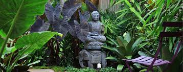 Garden Design Sydney Impressions Landscape Design Buddha Garden Zen Garden Design Tropical Landscape Design