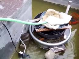 Filter Kolam Ikan Sederhana Youtube