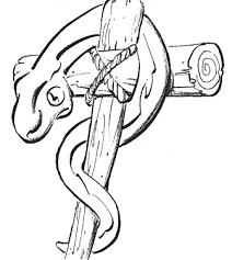 Egyptian cat coloring pages from cats coloring pages printable. Bronze Serpent Staff Son Of Samson Wiki Fandom