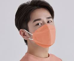 Blue Eagle N95 4D Adult Medical Face Mask 10 pack