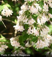 Pin On Garden Ideas