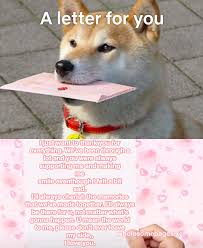 Wholesome Meme Dog Letter Wholesome Memes Love Memes Memes