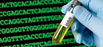 Relating to, used in, or appropriate for courts of law or for public. Master S Programme In Forensic Science 2021 2022 Uppsala University Sweden
