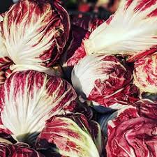Hur säger radicchio på italienska? Radicchio Definition And Meaning