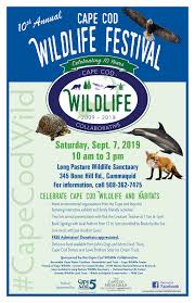 Top pest control services in the cape cod massachusetts area. Skip To Content About Us History Of Orenda Board Members And Staff Strategic Plan Financial Information Nurture The Trust Become A Member Donate Land Give A Gift To Wildlife Volunteer Your Talents Employment And Internship Opportunities Our