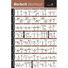 Barbell Workout Exercise Poster Laminated Home Gym Weight Lifting Chart Build Muscle Tone Tighten Strength Training Routine Body Building