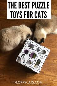 Choosing the right cat treat toy for your household is going to depend on the number of cats you have around and the way they typically like to play. Puzzle Toys For Cats Cat Games Cat Interactive Toys Cat Toys Homemade Cat Toys Cat Puzzle